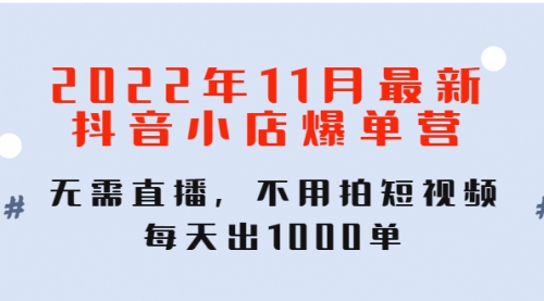 11月最新抖音小店爆单训练营:无需直播,不用拍短视频,每天出单