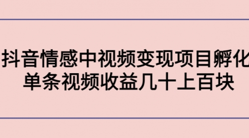 知名大师课程:抖音情感中视频变现项目孵化