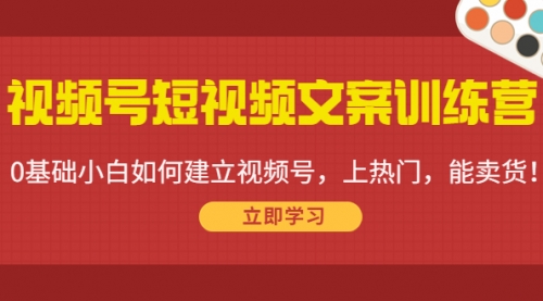 视频号短视频文案训练营:0基础小白如何建立视频号,上热门,能卖货!