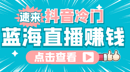 最新抖音冷门简单的蓝海直播赚钱玩法,流量大知道的人少,可做到全无人直播