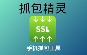 抓包精灵,手机抓包工具